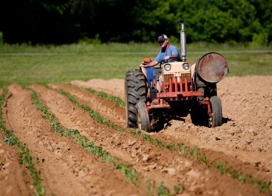 Farming, Agriculture,