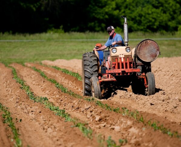 Farming, Agriculture,