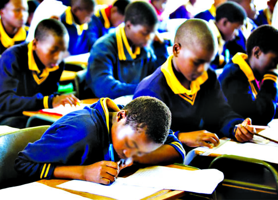 Education, Free, Healthcare,