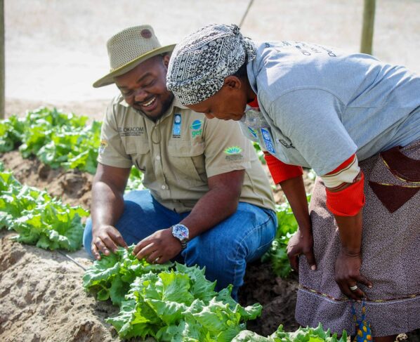 Farming, Produce,