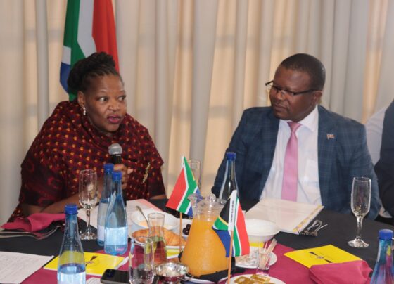 Eswatini, Investment, SA,