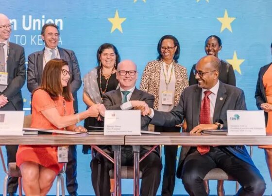 Funding, African, Business,