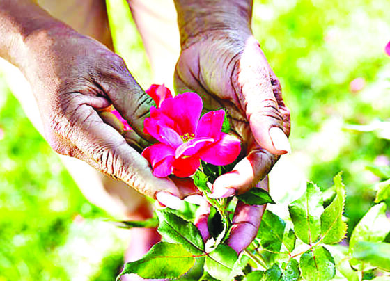 A closer look at the life of a florist and what it entails.