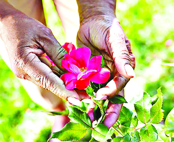 A closer look at the life of a florist and what it entails.