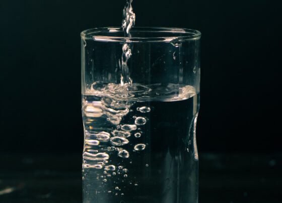 Water, Portability, Government,