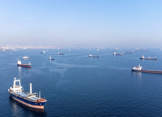 Commercial vessels including vessels which are part of Black Sea grain deal wait to pass the Bosphorus strait off the shores of Yenikapi during a misty morning in Istanbul, Turkey. REUTERS/Umit Bektas