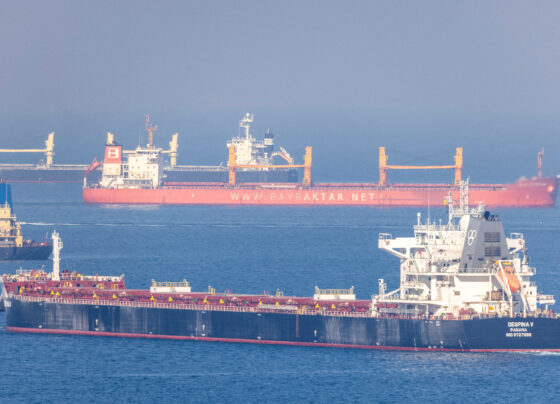 Cargo ship Despina V, carrying Ukrainian grain, is seen in the Black Sea off Kilyos near Istanbul, Turkey. REUTERS/Umit Bektas