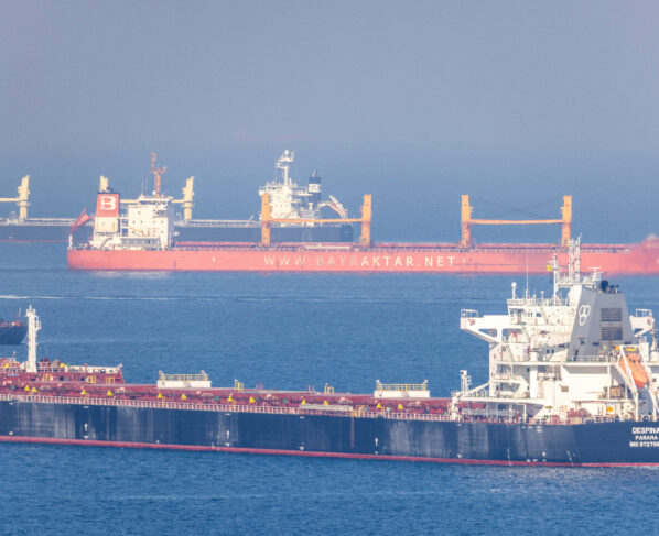 Cargo ship Despina V, carrying Ukrainian grain, is seen in the Black Sea off Kilyos near Istanbul, Turkey. REUTERS/Umit Bektas