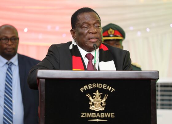 Zimbabwean President Emerson Mnangagwa.