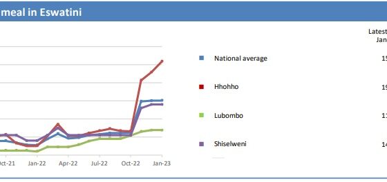 Graph showing the price of maize