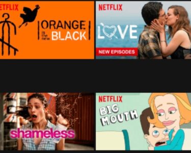 Some of the shows on Netflix