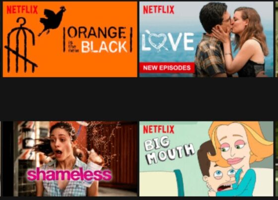 Some of the shows on Netflix