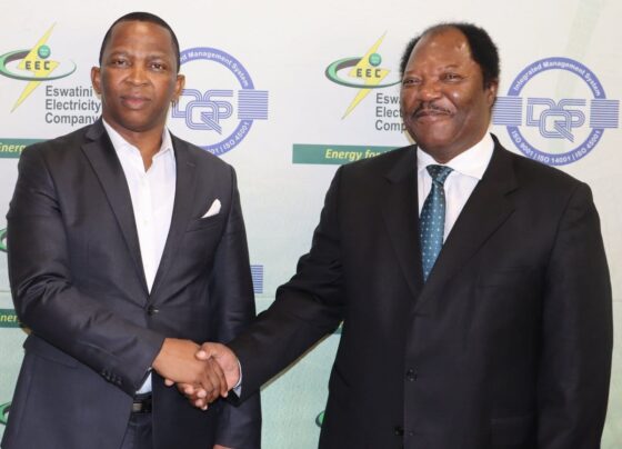 The Eswatini Electricity Company (EEC) Board has new leadership at the helm. Picture: Supplied.