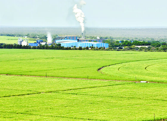 Royal Eswatini Sugar Corporation