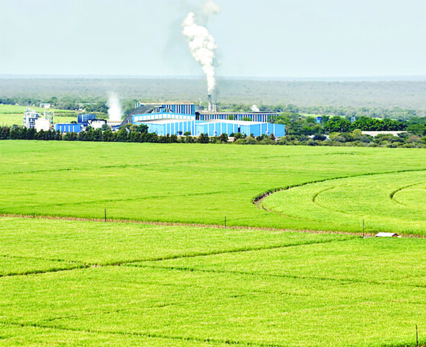 Royal Eswatini Sugar Corporation