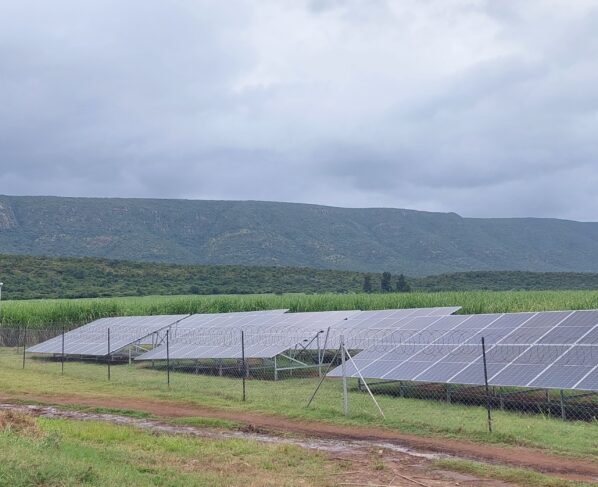 Solar panels as more and more people turn to renewable energy.