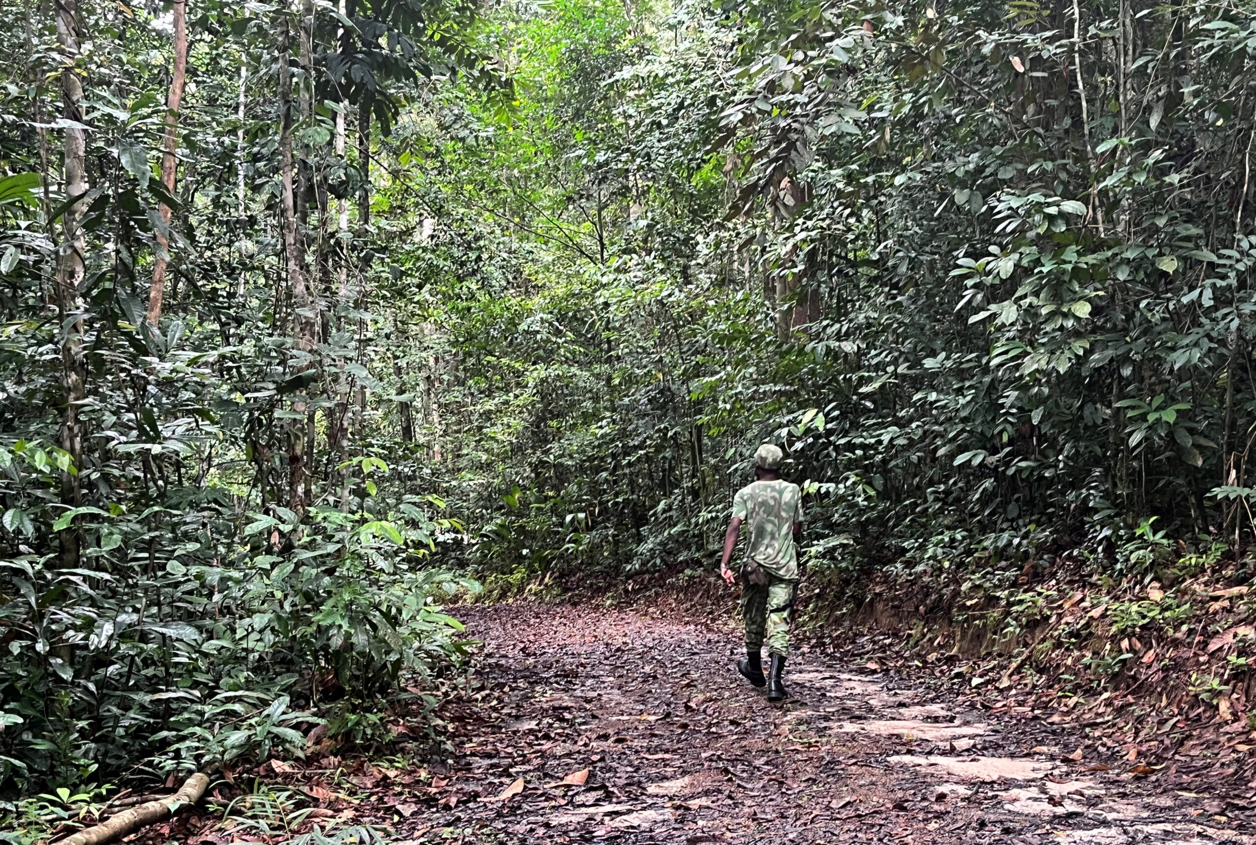 Gabon sees Africa’s first ‘debt-for-nature’ swap over the line