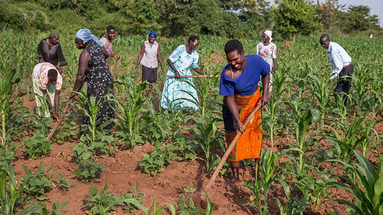 Eswatini Allocates Over E170 Million to the Agriculture sector.